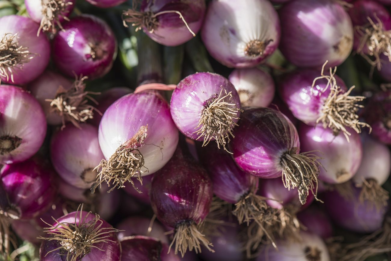 What are the best ways to market onions in Kenya?