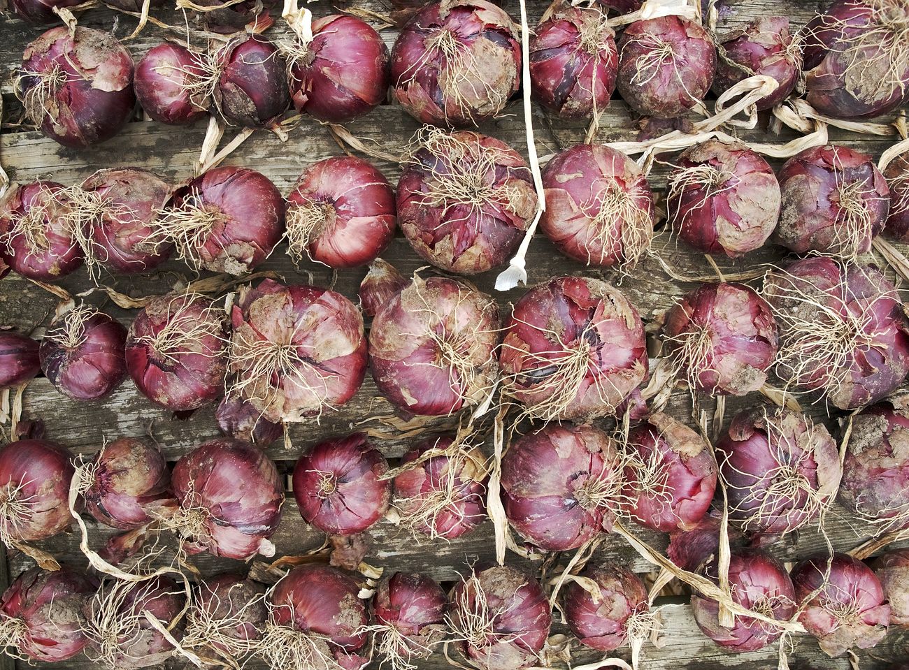 What are the best ways to store and transport onions in Kenya?