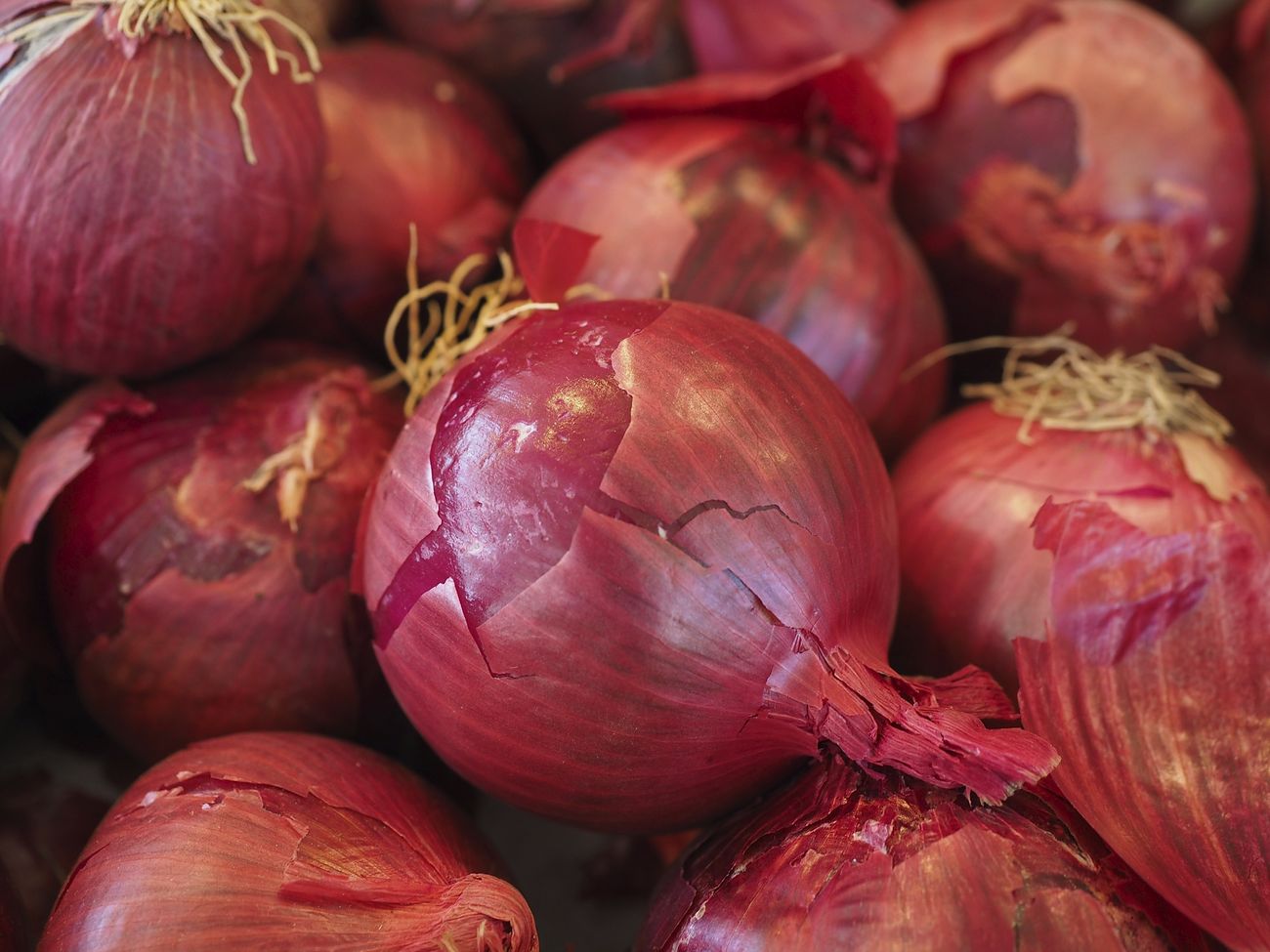 Free red onions background image