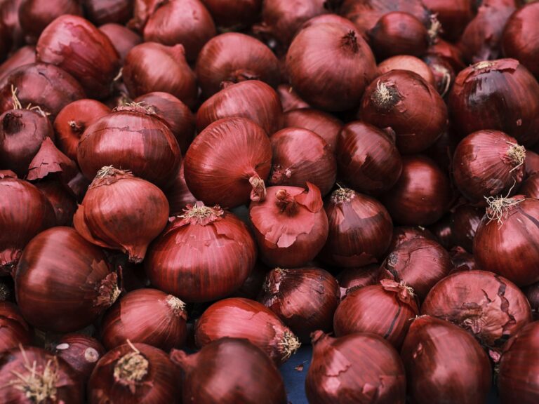 What are the best varieties of onions for farming in Kenya?