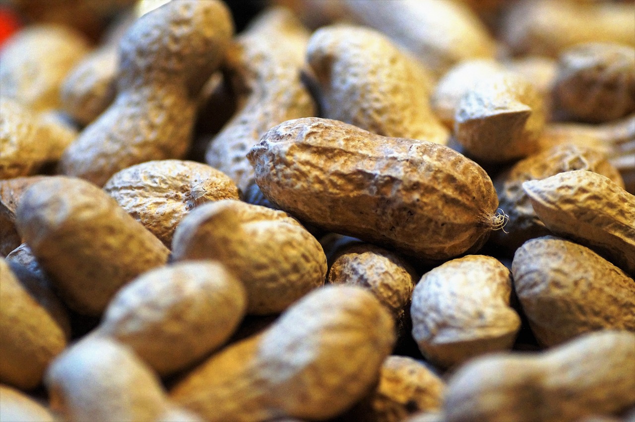peanuts, groundnuts, nut