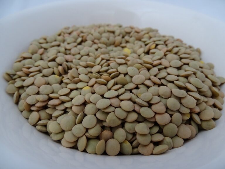 Guide to Lentil Cultivation in Kenya: Exploring Possibilities