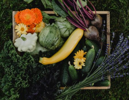 vegetables in a box