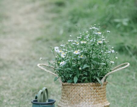 wicker bag with blooming flowers near watering can