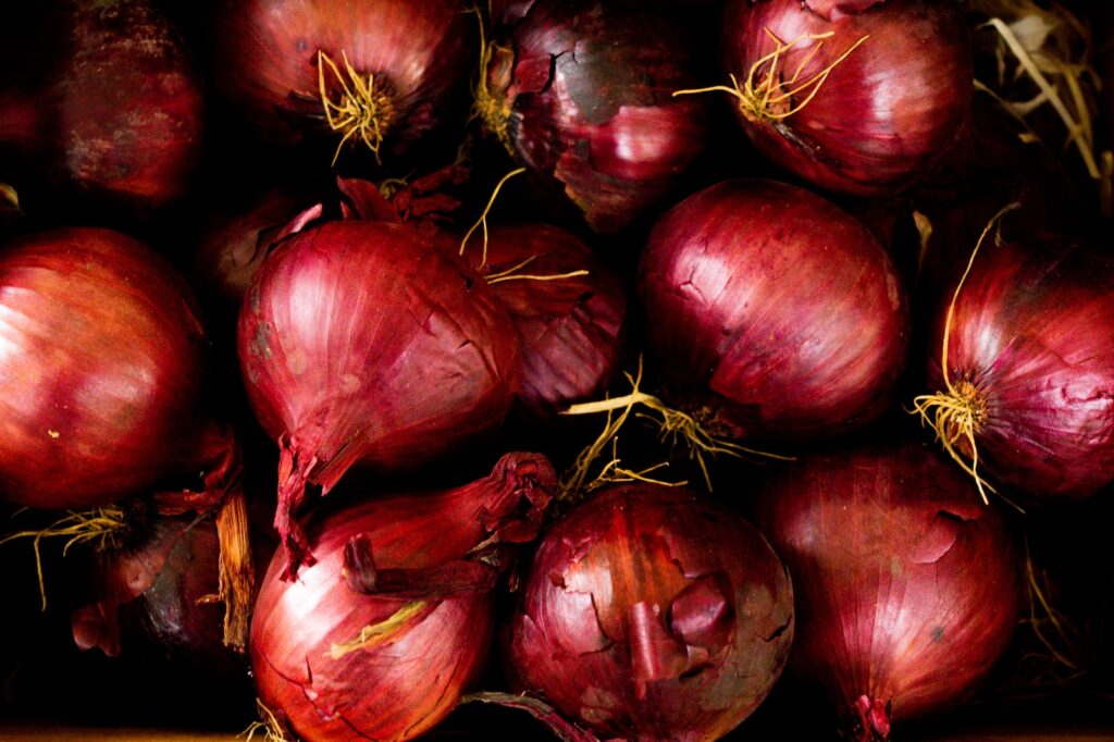 Onion Faming In Kenya Business Plan Harvest Season