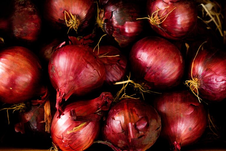 Onion Faming In Kenya Business Plan